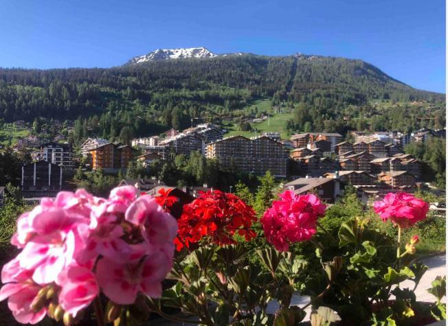 Sunny Swiss Mountain Studio In Centre By Jolidi Nendaz Exterior photo